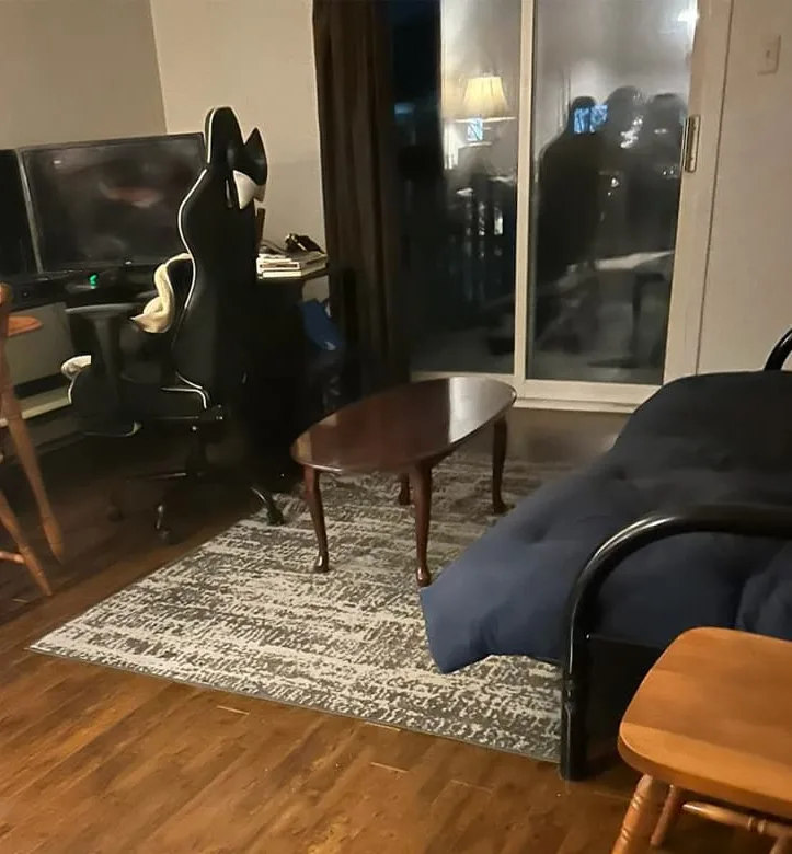 After hoarding cleanup, with the living room floor and furniture cleared
